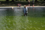 Former US Olympic canoeist David Hearn arrested for allegedly vandalizing Lincoln Memorial Reflecting Pool  Yahoo Sports