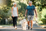 How fast you should be able to walk a mile at every age  and what it can say about your longevity  New York Post