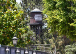 Disneyland visitor falls down 50foot drop on Tianas Bayou Adventure  The Seattle Times