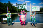 At the Reflecting Pool these protesters speak for the algae  The Washington Post