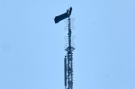 Climber couple arrested after scaling Empire State Building antenna for apparent marriage proposal  AP News
