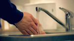 Wayne County health officials track 27 potential cyclosporiasis cases amid growing Michigan outbreak  ClickOnDetroit  WDIV Local 4