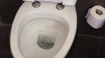 What to know about cyclosporiasis as Michigan health officials investigate 300 cases in outbreak  ClickOnDetroit  WDIV Local 4
