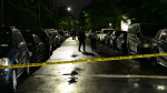 Gunman opens fire at July 4 barbecue in Brooklyn wounding 8 including 4 children  CNN