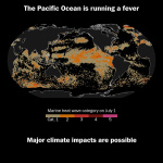 The Pacific Ocean is running a fever Why thats an ominous sign  The Washington Post