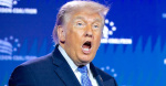 Wild Details of Allies Secret Summit to Deal With Trump Nightmare Exposed  The Daily Beast