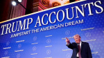 Trump Accounts launch for US kids Here are savings options in GA  USA Today