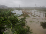 Typhoon Bavi weakens to tropical storm as it slams into eastern China  Al Jazeera