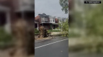 VIDEO Powerful storm knocks down trees causes damage in Philadelphia  WCVB
