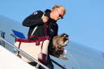Where did Erling Haaland get that raccoon holding a bottle of booze  The Washington Post