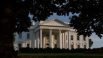 Exclusive Officials asked to turn over phones at the White House as Wiles Patel lead intensifying leak probe  CNN