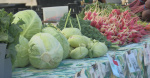 State health officials confirm 43 cases of Cyclosporiasis WI farmers on alert  WKOW