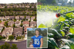 Ritzy SoCal city rocked by rare cancer outbreak suspends use of chemical landscaping products  Yahoo