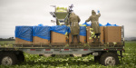 Lettuce Supplier Linked to Cyclospora Outbreak Is a Global Salad Giant  WSJ