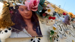 DNA expert ties slain 14yearold Celeste Rivas Hernandez to blood stains found in D4vds garage  KSLcom
