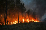 Wildfires in France drive 250000 people from their homes and creep toward wine city of Bordeaux  AP News