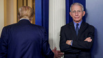 Anthony Fauci lets loose on infinitely lying Trump in COVID diary  USA Today