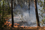 Southern Europe burns as 3 firefighters die and France battles blaze 4 times the size of Paris  AP News