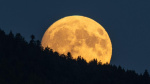 In Photos Full Buck Moon Rises To Set Up A Total Solar Eclipse  Forbes
