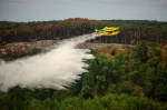 As heat and dry conditions fan wildfires in France volunteers fan out to help  AP News