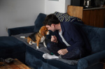 Geneedited beagles may offer a future option for people with dog allergies  AP News