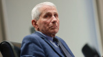 Live updates Senate committee votes to hold Dr Anthony Fauci in contempt of Congress  CNN