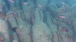 Shipwreck jars more than 2000 years old found off Italian coast  USA Today