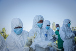 Ebola deaths surpass 2000 in Democratic Republic of Congo  The Washington Post