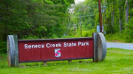 DNR investigates beaver attack at Seneca Creek State Park  WBALTV
