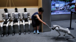 Chinese humanoid robot maker surges 600 in trading debut  Financial Times