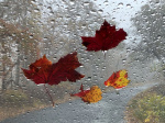 NOAA releases fall weather predictions for all 50 states as El Nio grows stronger  The Hill