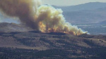 Hawk Fire 10500acre wildfire in Nevada prompts Sierra County evac warnings  KCRA