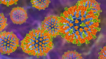 Measles outbreak declared in 3 Maryland counties  WBALTV