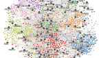 Largest ever map of autism may hold clues for new targeted therapies  CNN