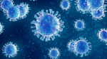 NCDPH Hotel guests possibly exposed to measles during stay  WYFF