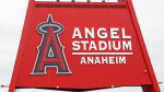 Stan Kroenke Reportedly Plans to Build New 25B Angels Stadium After Buying MLB Team  Bleacher Report