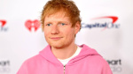 Guitar Center Addresses Not Legitimate Entries Submitted in Ed Sheeran Tour Opener Contest  Rolling Stone