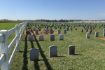 A 20yearold Amish woman with leukemia got measles and died in Pas largest outbreak in three decades  Inquirercom