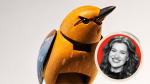 Hello Molly The 15 Million Bird Kelly Clarkson Coveted Finally Breaks Her Silence Exclusive  The Hollywood Reporter