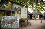Zookeeper dies after leopard savagely mauls her inside animal enclosure  New York Post