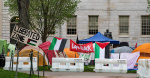 13 Harvard University students who participated in proPalestinian encampment will not get degrees  CBS Boston