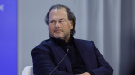 Salesforce shares plunge 17 on revenue miss weak forecast  CNBC
