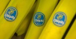 Chiquita funded Colombian terrorists for years A jury now says the firm is liable for killings  CBS News Chiquita funded Colombian terrorists for years A jury now says the firm is liable for killings  CBS News
