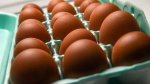 FDA upgrades recall of eggs linked to salmonella to serious health risks or death  USA TODAY