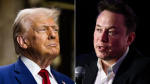 How Elon Musk became Trumps biggest supporter CNN How Elon Musk became Trumps biggest supporter CNN