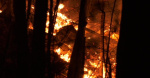 New York forest ranger dies battling wildfire near Greenwood Lake  CBS New York