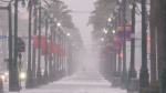 Historic snow amounts could fall on Florida Louisiana and Texas as a onceinageneration storm hits  CNN