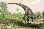 Where did dinosaurs first evolve Scientists are proposing a surprising location  The Globe and Mail Where did dinosaurs first evolve Scientists are proposing a surprising location  The Globe and Mail