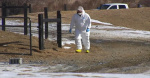 50K chickens being put to death because of bird flu in Lehigh County  69News WFMZTV