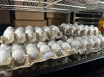 Eggstreme measures Grocery chains impose purchase limits amid egg shortage  MLivecom Eggstreme measures Grocery chains impose purchase limits amid egg shortage  MLivecom